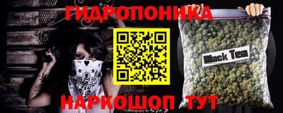 прущие крисы Малгобек