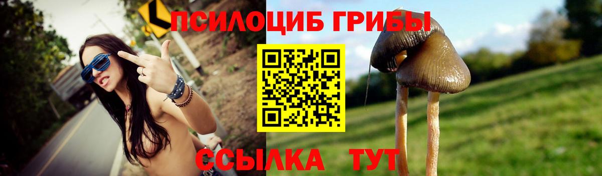 Салехард  Галлюциногенные грибы прущие грибы  наркота  Вход с VPN  Галлюциногенные грибы мицелий 